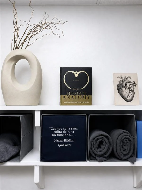 Clinic shelf with an anatomy book, ceramic vase and a navy cushion embroidered with the Clínica Médica Guerrero saying